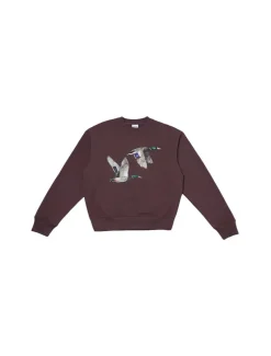 Sabbatical Ducks Crewneck Button Brown